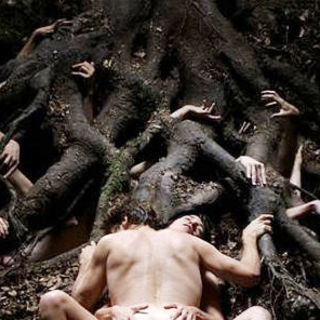 A scene from IFC Films' Antichrist (2009)