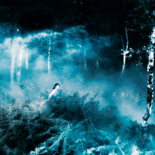 Antichrist Picture 20