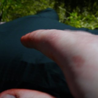 Apostate Picture 10