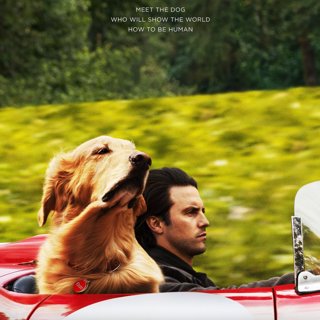 Poster of 20th Century Fox's The Art of Racing in the Rain (2019)