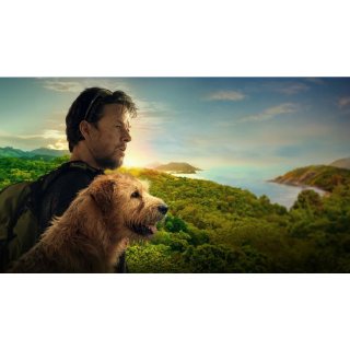 Arthur The King Picture 9