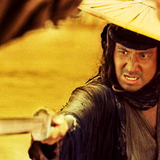 Ashes Of Time Redux Picture 4