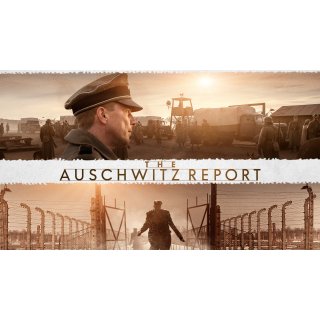 Auschwitz Report, The Picture 3