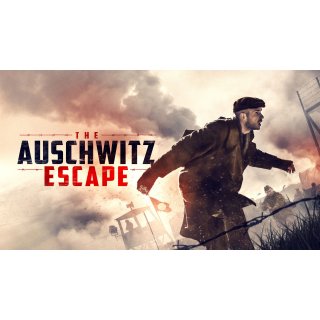 Auschwitz Report, The Picture 4