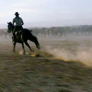 Australia Picture 31