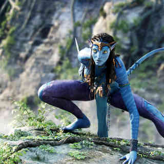 Avatar Picture 11