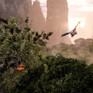Avatar Picture 14