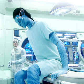 Avatar Picture 15