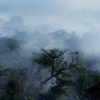 Avatar Picture 25