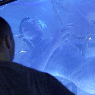 Avatar Picture 52