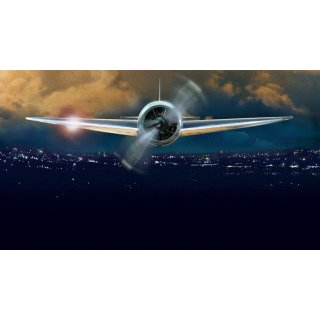 Aviator, The Picture 4