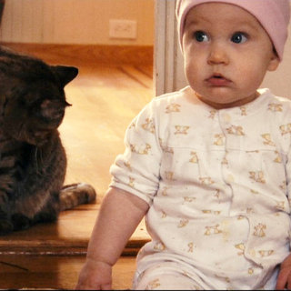 Hattie in Focus Feature's Babies (2010)