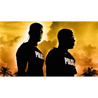 Bad Boys 2 Picture 5