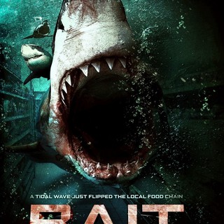 Bait Picture 1