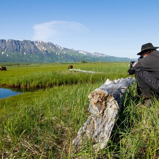 A scene from Disneynature's Bears (2014)