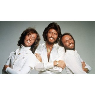 Bee Gees: How Can You Mend A Broken Heart, The Picture 2