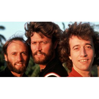 Bee Gees: How Can You Mend a Broken Heart, The (2020)
