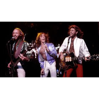 Bee Gees: How Can You Mend a Broken Heart, The (2020)