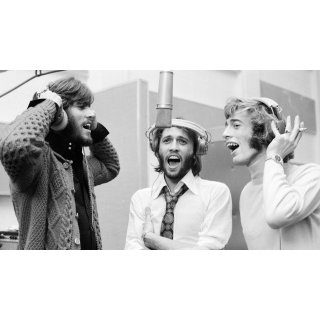Bee Gees: How Can You Mend a Broken Heart, The (2020)