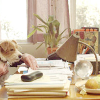 Beginners Picture 1