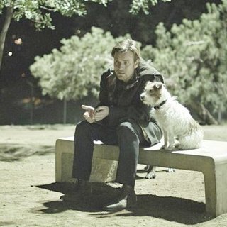 Beginners Picture 18
