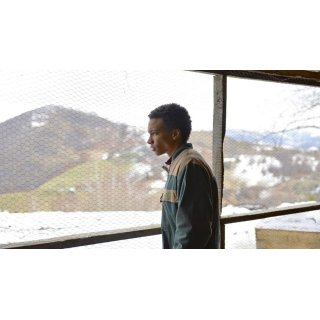 Being 17 (2016)