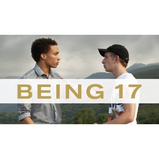 Being 17 (2016)
