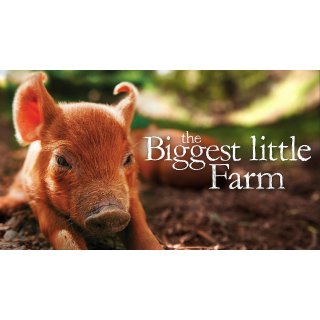Biggest Little Farm, The Picture 8