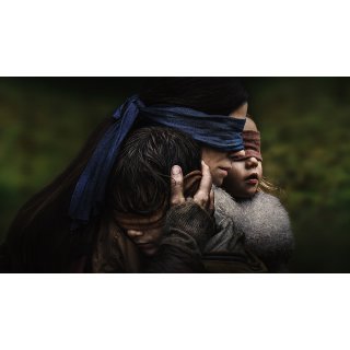 Bird Box Picture 1