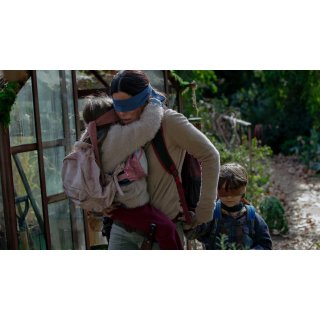 Bird Box Picture 2