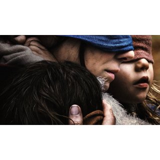 Bird Box Picture 5