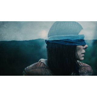 Bird Box Picture 7