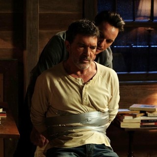 Black Butterfly Picture 3