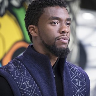 Chadwick Boseman stars as T'Challa/Black Panther in Walt Disney Pictures' Black Panther (2018)