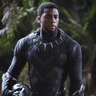 Chadwick Boseman stars as T'Challa/Black Panther in Walt Disney Pictures' Black Panther (2018)