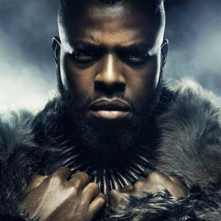 Black Panther Picture 46