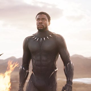 Black Panther Picture 50