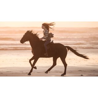 Black Beauty Picture 8