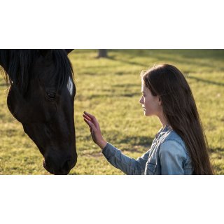 Black Beauty Picture 10