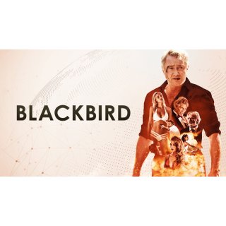 Blackbird Picture 7