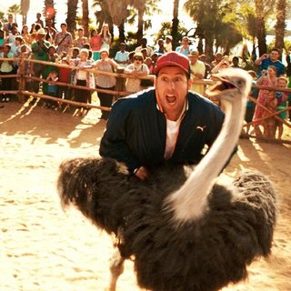 Adam Sandler stars as Jim Friedman in Warner Bros. Pictures' Blended (2014)