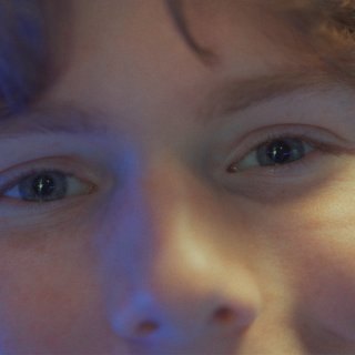 Blowfish (2026)