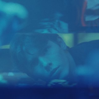 Blowfish (2026)