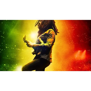 Bob Marley: One Love Picture 2