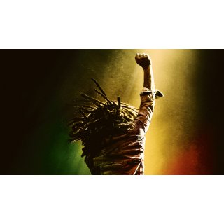 Bob Marley: One Love Picture 4