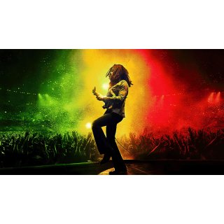 Bob Marley: One Love Picture 9
