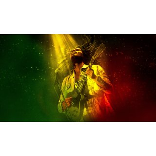 Bob Marley: One Love Picture 10