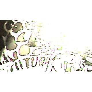 bodystigmata (2026)