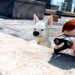 Bolt Picture 10