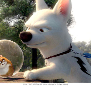 Bolt Picture 17